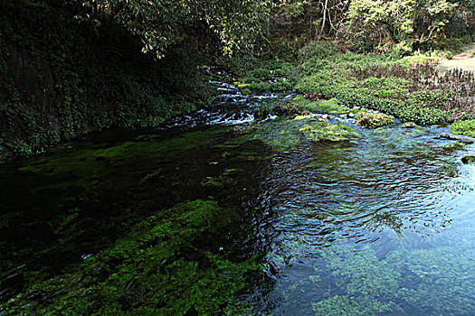 腾冲黑鱼河