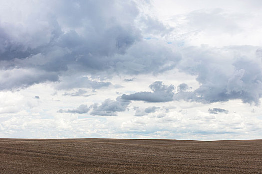 乌云,上方,荒芜,农田,萨斯喀彻温,加拿大