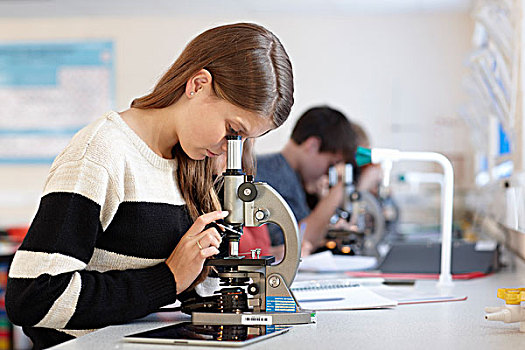 学生,显微镜,班级