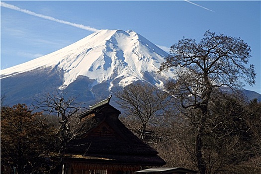 春天,山,富士山