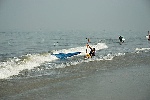 虾,油炸,收集,渔民,放,网,野外,市场,海滩,四月,2007年,孟加拉,大,重要