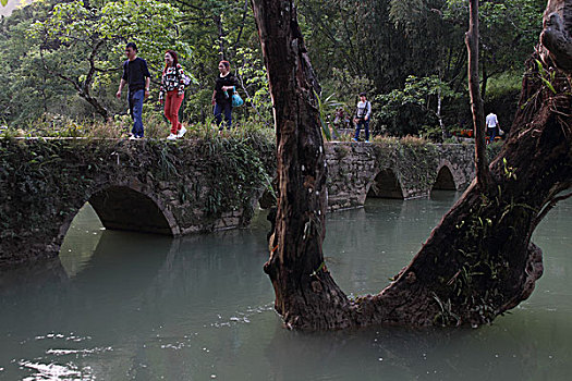 荔波美景