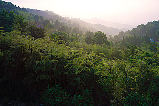 莫干山的晨曦