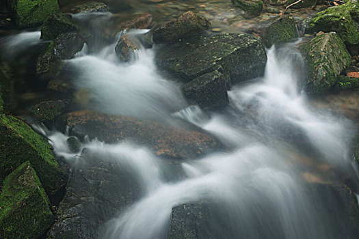 山谷,河流,石头