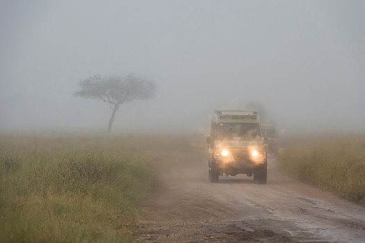 旅游,交通工具,驾驶,暴风雨,塞伦盖蒂国家公园,坦桑尼亚