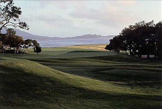 高尔夫球场,圆石滩,加利福尼亚