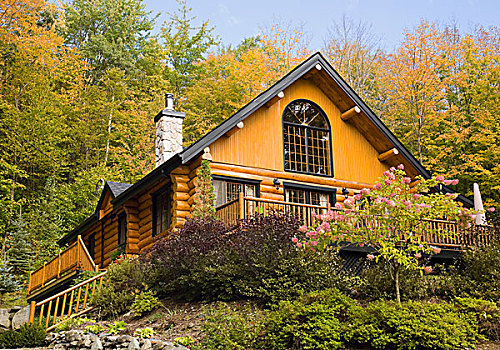 原木,房子,围绕,树,魁北克,加拿大