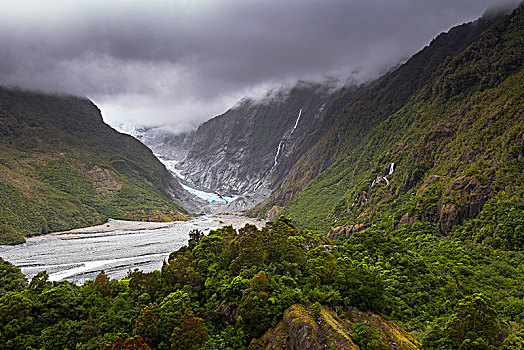 冰河,舌头,西区国家公园,西海岸,区域,新西兰,大洋洲