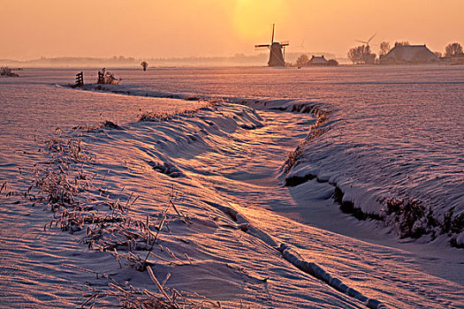 荷兰,风车,冰冻,河流,雪中,日落