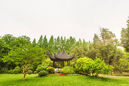 中国江苏南京中山植物园花丛绿地园林