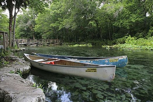 独木舟,春天,靠近,奥兰多,淡水,佛罗里达,美国