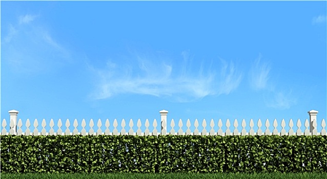 白色,栅栏,树篱,蓝色背景,天空