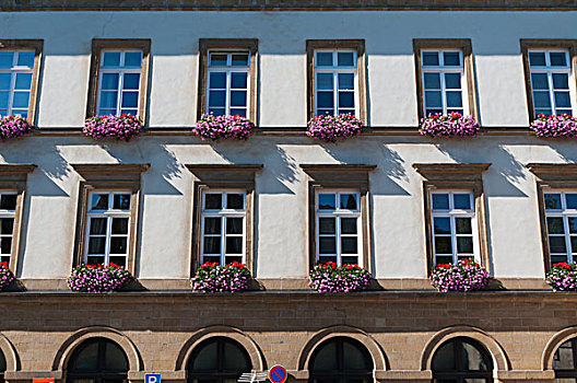 建筑,窗户,相互,花,卢森堡,城市