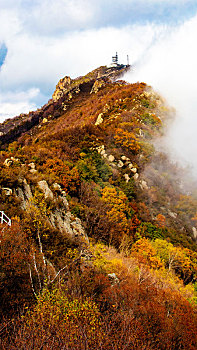 百花山