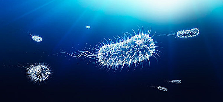显微,杆菌,细菌,游泳