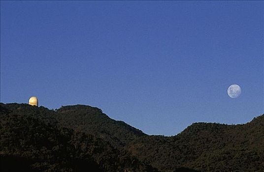 侧面,观测,月亮,树,山,澳大利亚