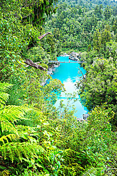 蓝色,水塘,桥,绿色,树林
