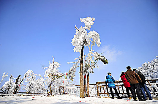 白雪覆盖下的天门山观光平台