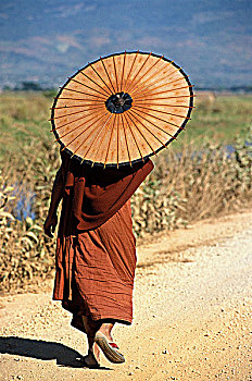 缅甸,和尚,伞