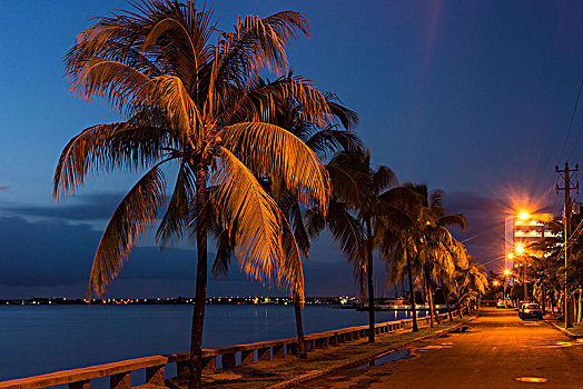 古巴,西恩富戈斯,35岁,棕榈树,晚上,亮光
