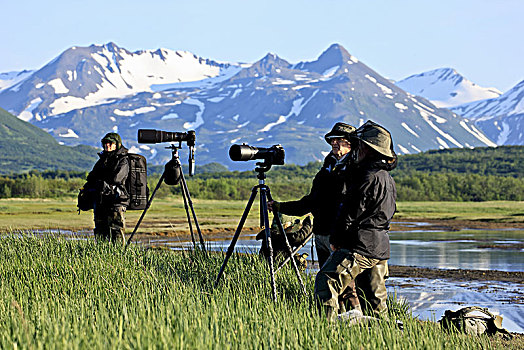 北美,美国,阿拉斯加,卡特麦国家公园,湾,摄影师,旅游,熊,注视