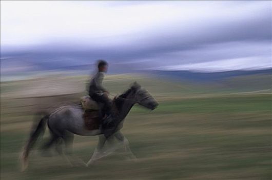 游牧,男孩,骑马,吉尔吉斯斯坦,中亚