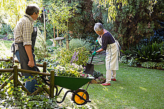 老年,夫妻,园艺,花园,晴天