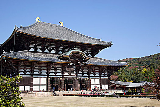 大佛,东大寺,奈良,日本