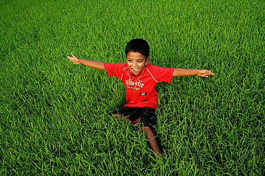 男孩,乐趣,稻田,孟加拉,六月,2008年