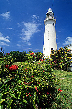 灯塔,尼格瑞尔,牙买加