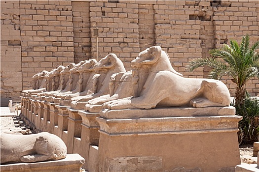 狮身人面像,雕塑,卡尔纳克神庙
