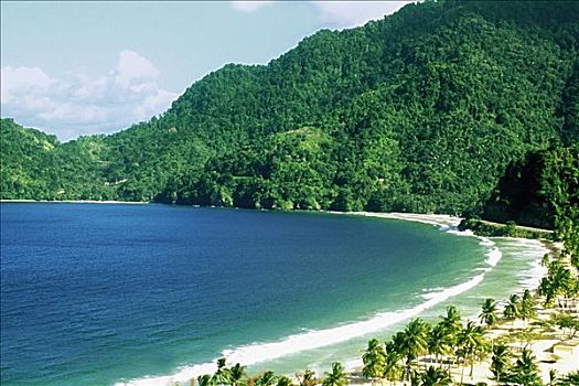 航拍,景色,海滩,晴天,特立尼达