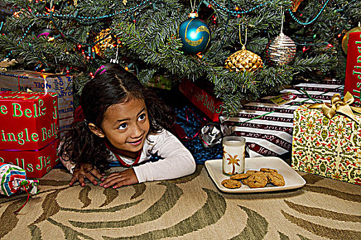 夏威夷,瓦胡岛,女孩,圣诞树,饼干,牛奶,圣诞老人