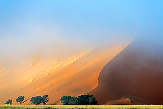 沙丘,早晨,雾气,索苏维来地区,纳米比沙漠,纳米比亚,非洲