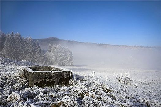 霜冻,巴登符腾堡,德国,欧洲