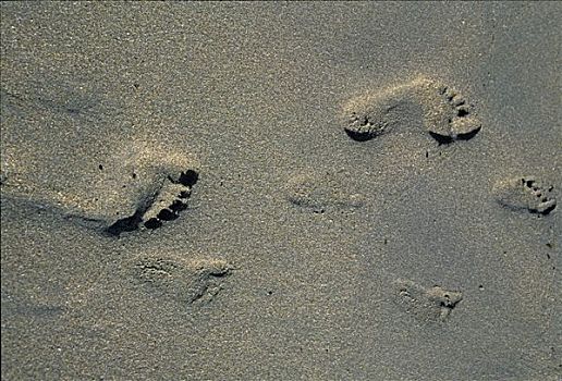 脚印,1岁,沙子