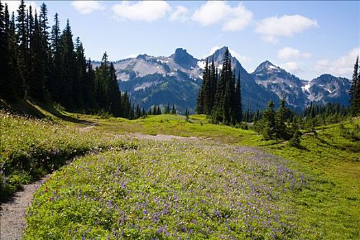 雷尼尔山国家公园,山峦