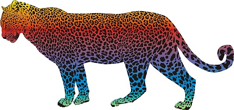 豹,抽象,彩虹