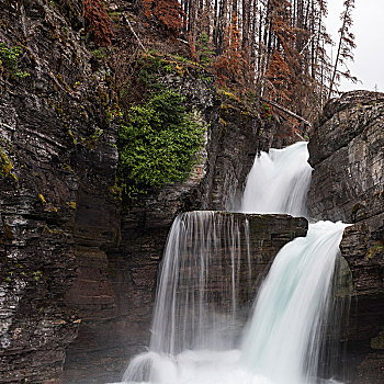 水,落下,石头,树林,瀑布,冰川国家公园,冰河,蒙大拿,美国