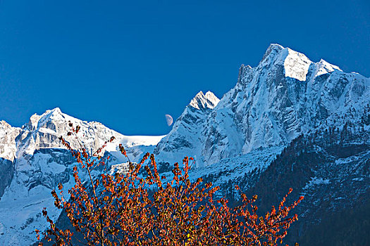 蓝天,月亮,雪,顶峰,框架,彩色,树,山谷,格劳宾登,瑞士,欧洲
