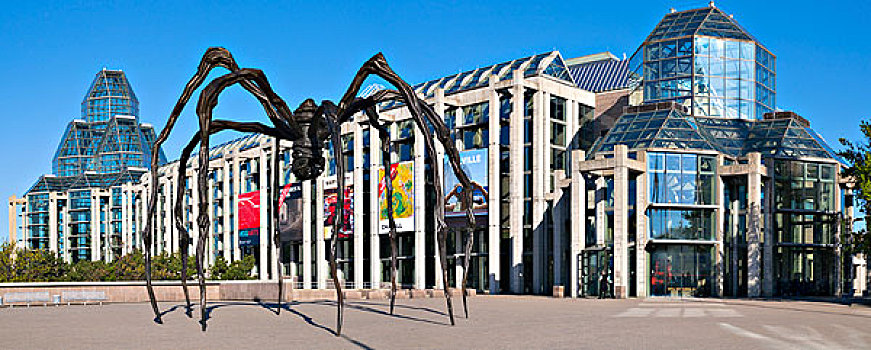 国家美术馆,加拿大,蜘蛛,雕塑,渥太华,安大略省