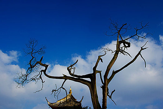 昆山锦溪古镇古莲寺