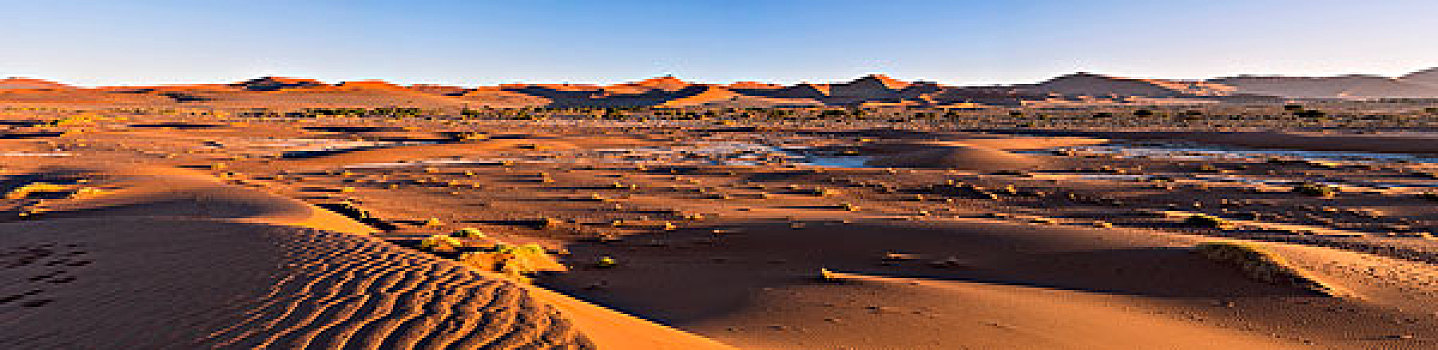 全景,沙丘,索苏维来地区,纳米比亚