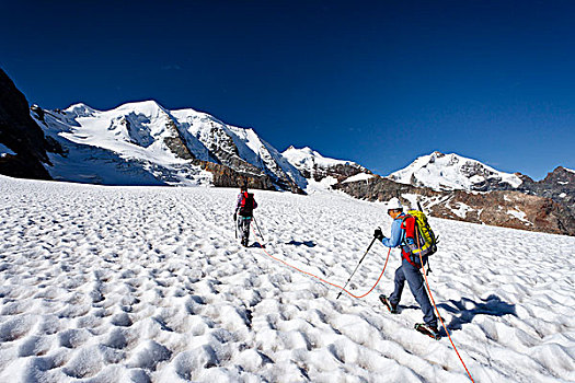 登山者,上升,山,冰河,背影,山脊,左边,瑞士,欧洲