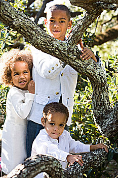 肖像,美国黑人,孩子,站立,靠近,树