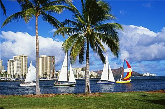 夏威夷,瓦胡岛,檀香山,游艇,港口,许多,小船,水中