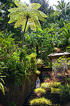 巴厘岛,女青年,道路,热带,花园,靠近