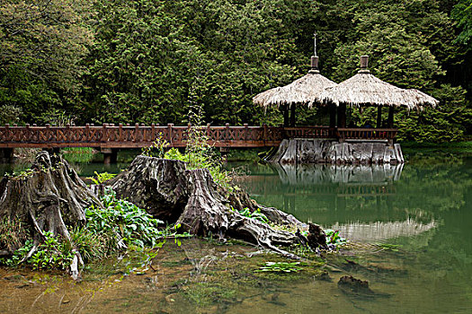 台湾,阿里山,阿里山国家风景区