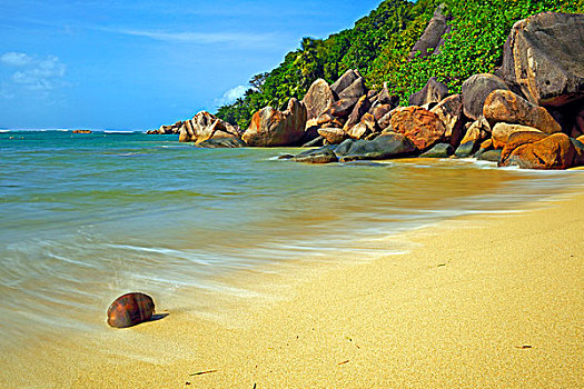 椰子,躺着,海滩,普拉兰岛,塞舌尔,非洲