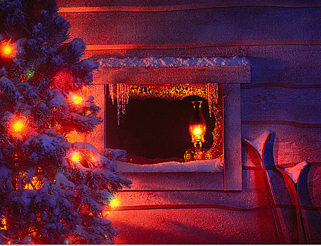 圣诞树,窗户